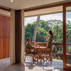 Suite Jungle View